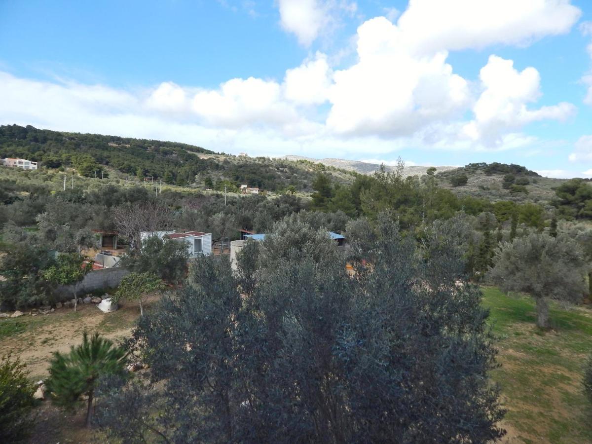Οδυσσεια, Κοντά Σε Αεροδρόμιο, Λιμάνια Και Θάλασσες Apartment Keratea Exterior photo
