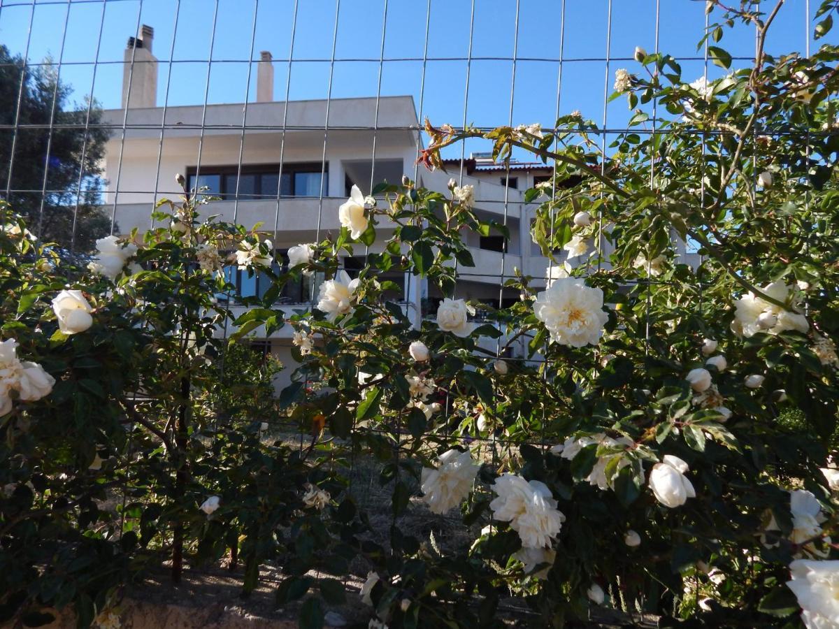 Οδυσσεια, Κοντά Σε Αεροδρόμιο, Λιμάνια Και Θάλασσες Apartment Keratea Exterior photo