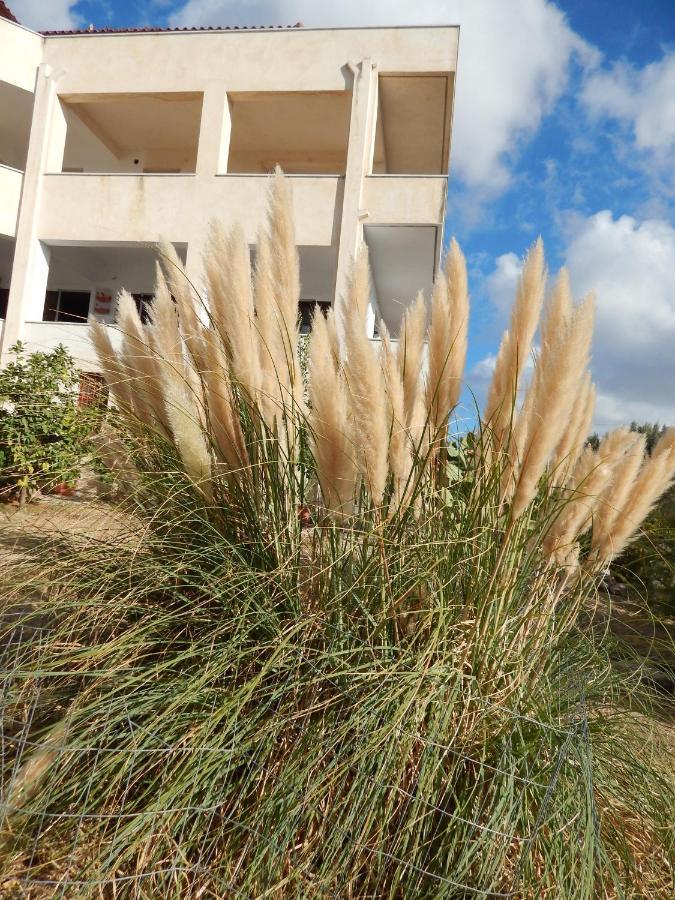 Οδυσσεια, Κοντά Σε Αεροδρόμιο, Λιμάνια Και Θάλασσες Apartment Keratea Exterior photo